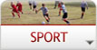 Click to view Hall Grove Sport News