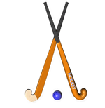 Hockey sticks