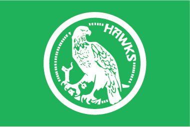 hawks