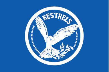 kestrels